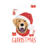Joyeux Noël Labrador