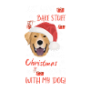 Labrador Merry Christmas