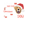 Joyeux Noël Labrador