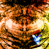Autumn Tree Radial
