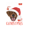 Joyeux Noël Labrador