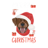 Joyeux Noël Labrador