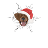 Joyeux Noël Labrador