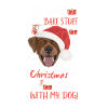 Joyeux Noël Labrador