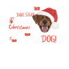 Joyeux Noël Labrador
