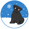 Schwarzer Mops im Schnee