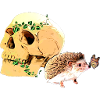 Little Curious Hedgehog