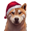 Akita Christmas