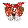 English Bulldog bandana