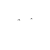 Australian Shepherd