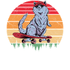 Skaters Skate Skateboarding Skateboard