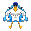 Muscular Seagull Seagull Gift