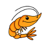 Shrimp Shrimp