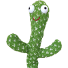The nice green cactus
