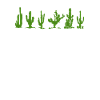Cactus Garden