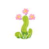 Cactus Garden Cactus