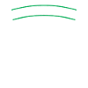 Cactus Garden Cactus