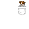 Jack Russell Terrier Cane Cane Proprietario del cane