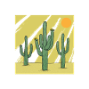 Cactus Jardin Cactus