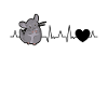 Chinchilla heartbeat