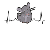 Chinchilla heartbeat