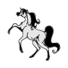 Happy Horses cheval