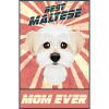 Beste Maltese moeder ooit ik Maltese minnaar