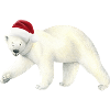 Polar bear at Christmas