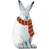 Arctic hare