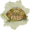 Tortoise