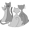 Chats