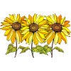 Blumen