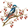 Bunter Vogel