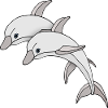 Dauphins