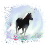 Cheval,Haflinger, Graffiti, Peinture,Bleu,Islandais
