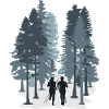 Courir, trail en forêt