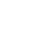 Hélicoptère T-Rex