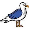 Nur die Möwe