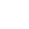 Crazy into Shopping
