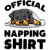 Rottweiler Dog Sleeping Slumbering