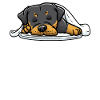 Rottweiler Dog Sleeping Slumbering