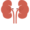 Organspender Nierentransplantation Geschenk