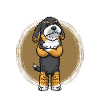 Stur Bernedoodle Hund