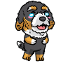 Bernedoodle Chien Riant Emoticon Kawaii