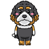 Bernedoodle Chien Riant Emoticon Kawaii