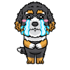 Bernedoodle Dog Laughing Emoticon Kawaii