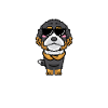 Bernedoodle Dog