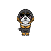 Bernedoodle Dog