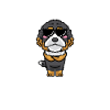 Bernedoodle Dog