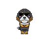 Bernedoodle Dog